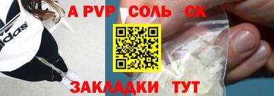 МДПВ Камышлов