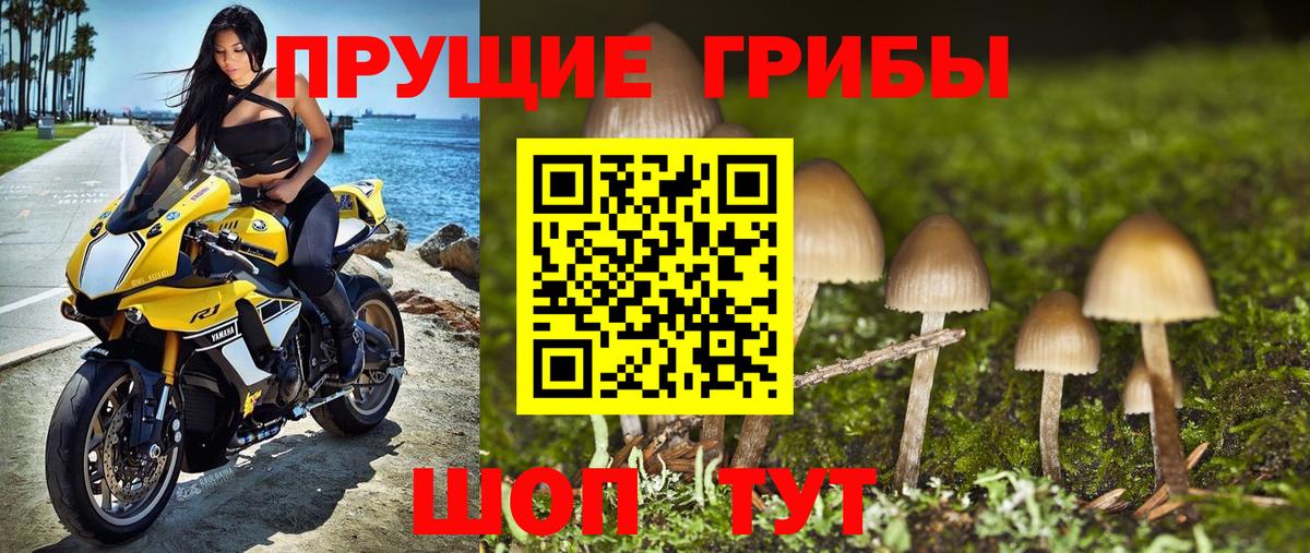 Псилоцибиновые грибы мицелий  Вход с VPN  Киселёвск 