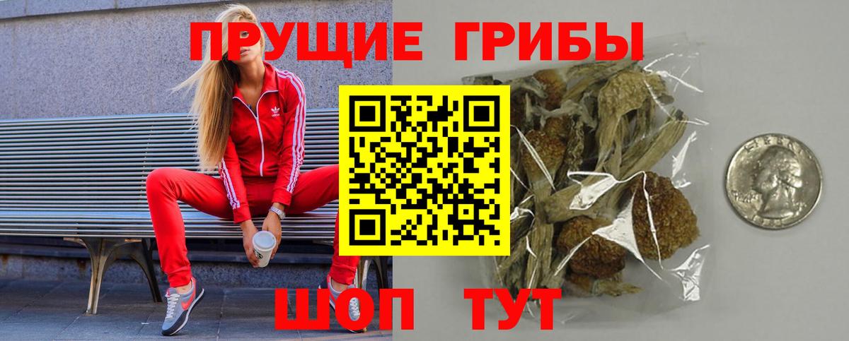 Галлюциногенные грибы ЛСД Киселёвск