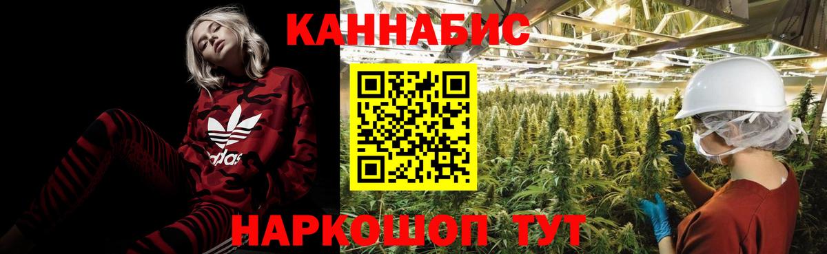 Шишки марихуана ГИДРОПОН  МАРИХУАНА гибрид  Киселёвск  МАРИХУАНА OG Kush  Вход с VPN 